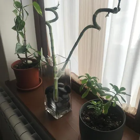 Il Borghetto Di San Giuseppe Etnarooms&apartments Appartement Nicolosi