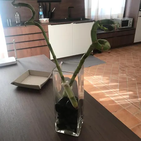 Appartement Il Borghetto Di San Giuseppe Etnarooms&apartments *