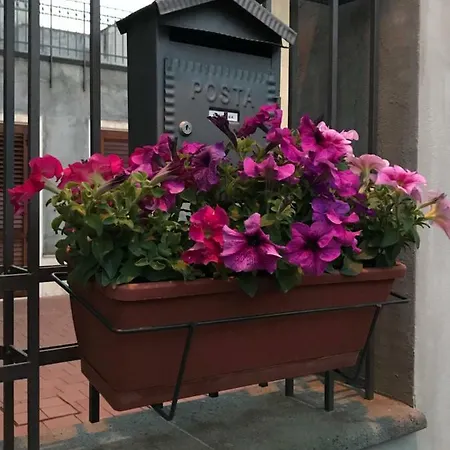 Il Borghetto Di San Giuseppe Etnarooms&apartments Appartement